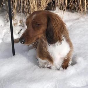 Meet your Posher, Kari